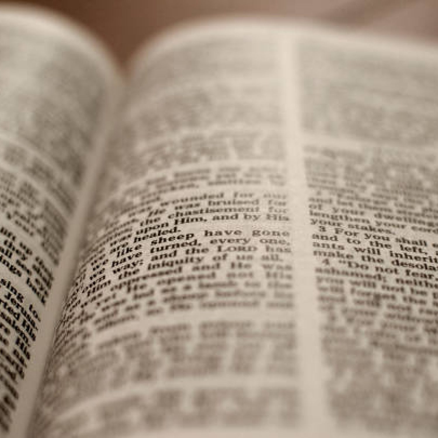 Open Bible -Close up